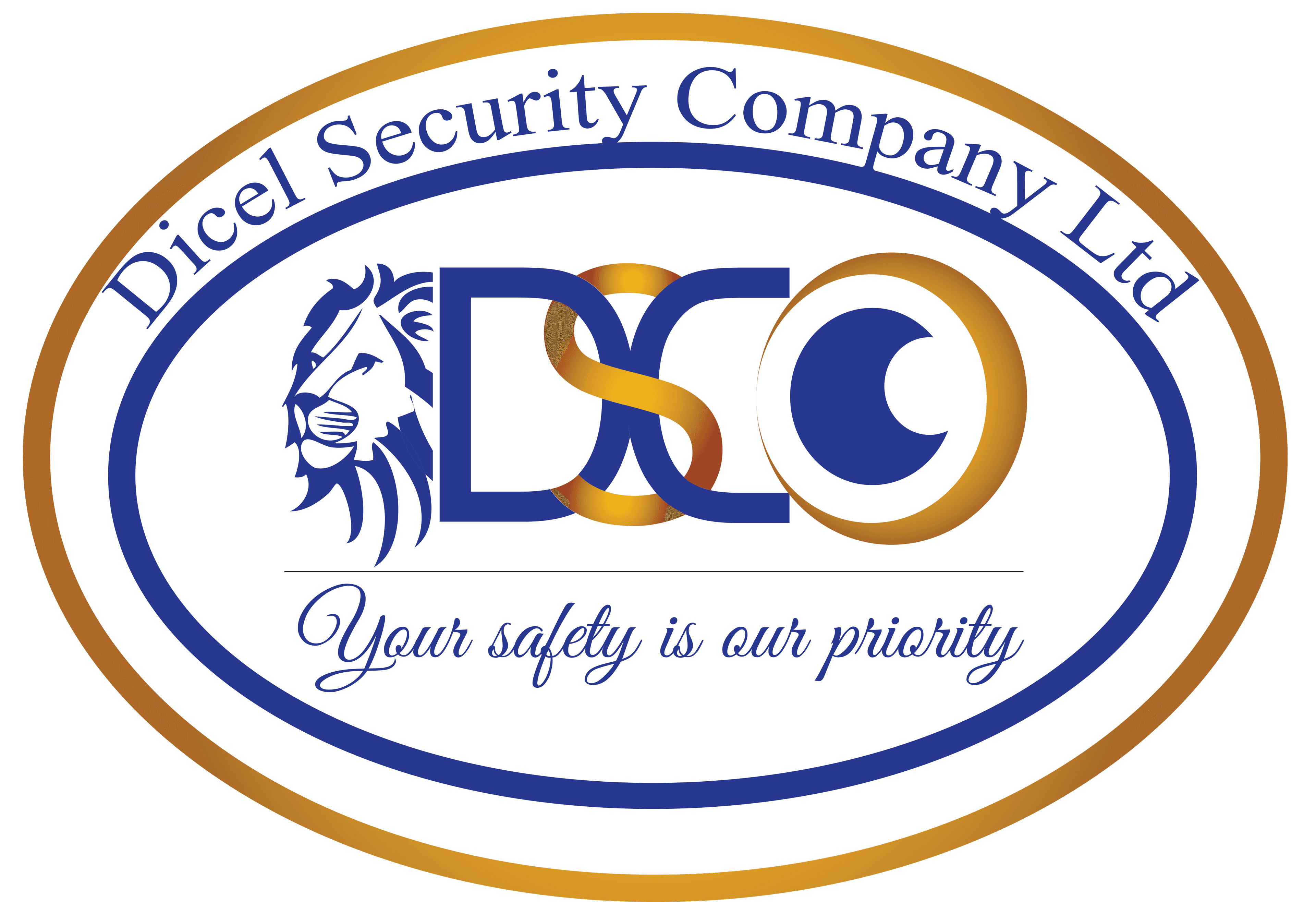 Dicel Security Logo